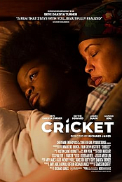 Cricket