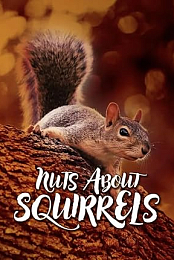Squirrls Pistov