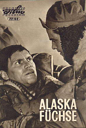 Alaskafuchse