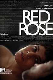 Red Rose
