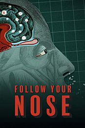 Follow Your Nose: Cracking Smell's Code
