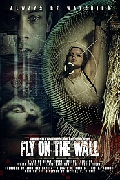 Fly on the Wall