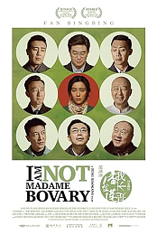 I Am Not Madame Bovary
