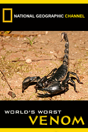 World's Worst Venom
