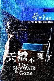 The Skywalk Is Gone