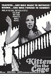 Kitten in the Cage