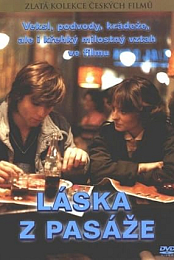 Laska z pasaze