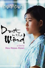 Dust in the Wind