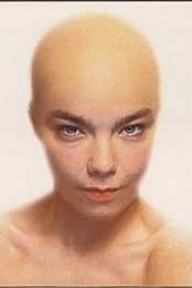 Bjork: Hunter