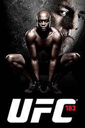 UFC 183: Silva vs. Diaz