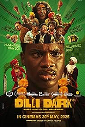 Dilli Dark