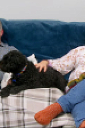 Gogglebox S24E09 720p HEVC x265-MeGusta EZTV