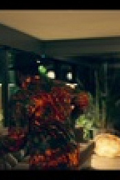 Wolfe S01E05 INTERNAL 1080p AHDTV x264-FaiLED EZTV