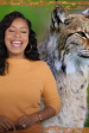 Wild Child S04E05 XviD-AFG EZTV