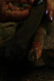Naked and Afraid S17E03 480p x264-mSD EZTV