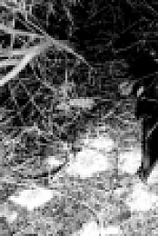 After the Night S01E02 XviD-AFG EZTV