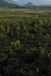Tracked NZ S01E02 720p WEB H264-ROPATA EZTV