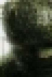 Swamp Thing 2019 S01E06 WEB x264-PHOENiX[TGx]