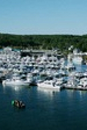 Wicked Tuna S10E18 XviD-AFG EZTV