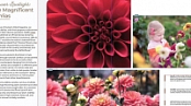 Lynda | InDesign 2020 Essential Training [FCO]