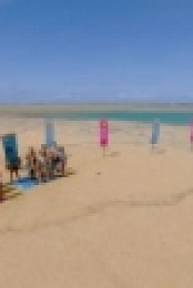 Survivor AU S06E06 WEB H264-LiNKLE [eztv]