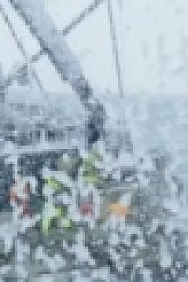 Deadliest Catch S15E12 WEB x264-TBS [eztv]