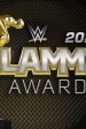 WWE 2020 Slammy Awards WEBRip h264-TJ [TJET]