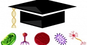 [ FreeCourseWeb ] Udemy - 40-Minute Course To Achieve PhD Offers