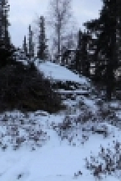 Alone S06E10 720p WEB h264-TBS [eztv]