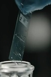 Cold Case NZ S02E07 480p x264-mSD EZTV