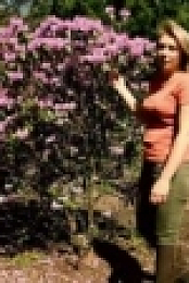 The Beechgrove Garden S42E03 WEB H264-iPlayerTV [eztv]