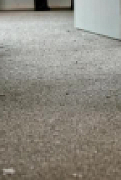 Renters S11E06 XviD-AFG EZTV