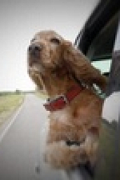 Road Wars 2022 S01E06 XviD-AFG EZTV