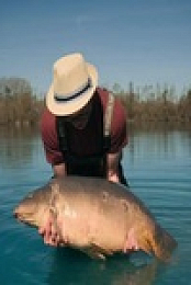 Monster Carp S06E04 480p x264-mSD EZTV