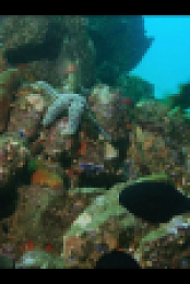 Our Oceans S01E01 720p x265-TiPEX EZTV