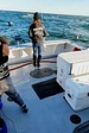 Wicked Tuna S12E08 720p WEB h264-EDITH EZTV