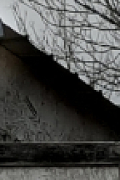 Fear Thy Neighbor S10E01 1080p WEB h264-FREQUENCY EZTV