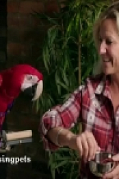 Embarrassing Pets S01E14 480p x264-mSD [eztv]