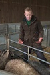 Springtime on the Farm S06E06 XviD-AFG EZTV