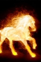 Fire Horse Screensaver - Animated Wallpaper
