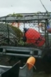 Deadliest Catch S15E11 WEB x264-TBS [eztv]