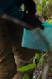Chefs vs Wild S01E05 720p WEB h264-KOGi EZTV