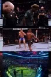 UFC 231 HDTV x264-VERUM