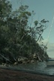 Deadloch S01E06 XviD-AFG EZTV