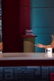Gruen S13E07 XviD-AFG EZTV
