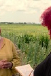 The 1619 Project S01E02 720p WEB h264-KOGi EZTV
