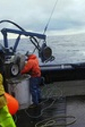 Deadliest Catch S19E14 XviD-AFG EZTV