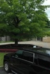 Cold Justice S06E20 XviD-AFG EZTV