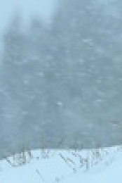 A Year on Planet Earth S01E01 720p WEBRip x264-BAE EZTV