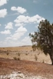 Better Call Saul S05E08 480p x264-mSD [eztv]